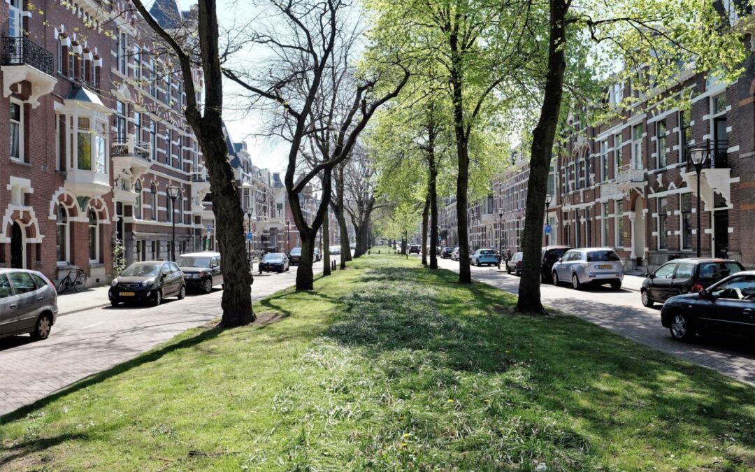 What are the rules for room letting in Rotterdam?